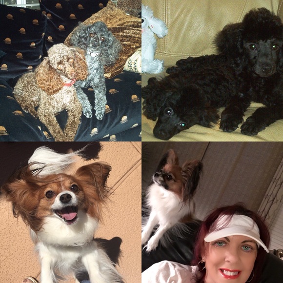 Meet your Posher, Teresa - Picture 4 of 6